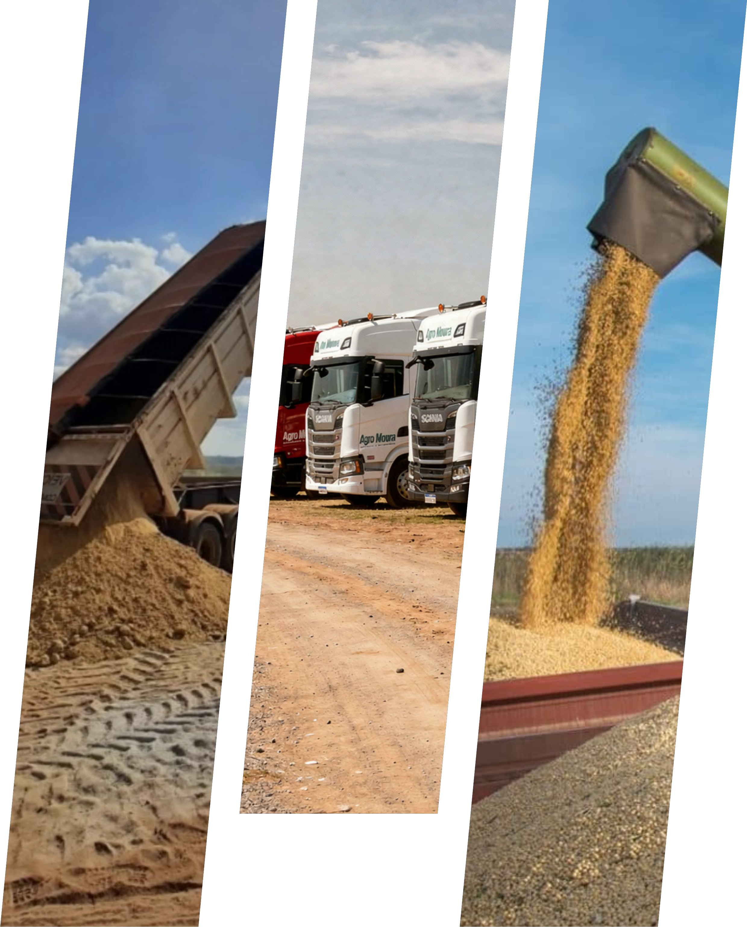 Agromoura Transportes